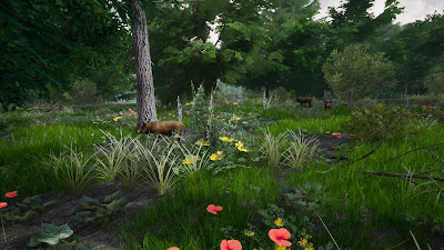 Horse Riding Deluxe 2 Game Screenshot 15