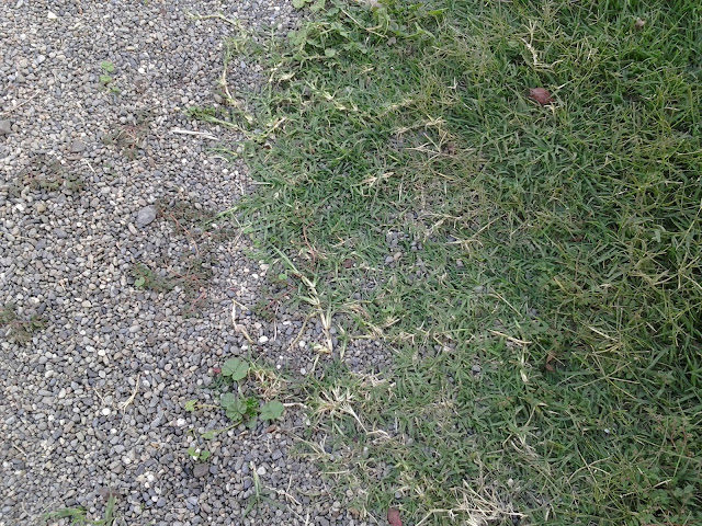 grass bermuda landscape rid sand supervisor traveling