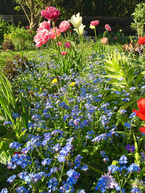 Mai 2016 - Sunnys Haus