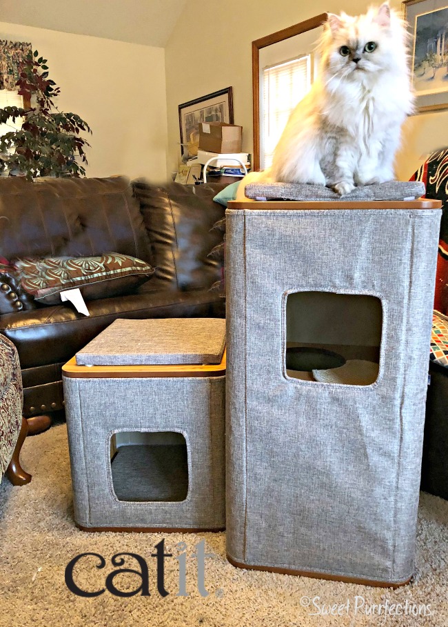 vesper cubo cat tower