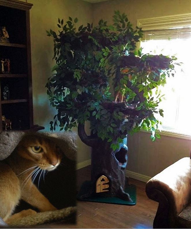 Luxury Cat Trees for Spoiled Rotten Kitties