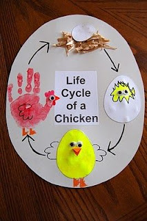 Life Cycles- Educational Ideas and Teaching Ideas for life cycles. Anchor charts, reading, resources, and technology to help teach this science topic in first and second grade classrooms.