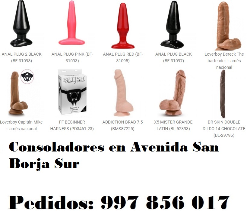 en Avenida San Borja Sur