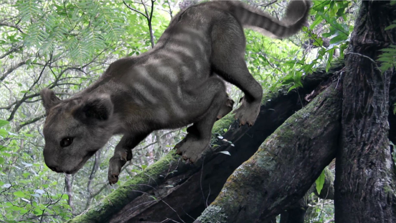 Abe's Animals New Zealand's now extinct top predators