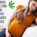 Cannabis Use on the Rise among Pregnant Women