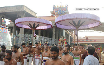 2015, Kodai Utsavam, Venkata Krishnan Swamy, Parthasarathy Temple, Thiruvallikeni, Triplicane,Day 05