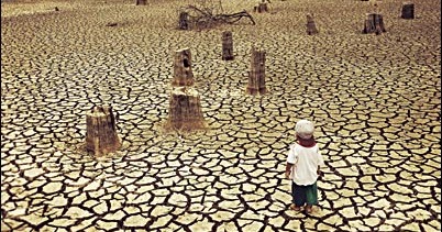 danger of deforestation essay Deforestation this is when a large number of trees are cleared from areas of land for various reasons the impact on the environment is extremely adverse, and there. danger of deforestation essay Deforestation this is when a large number of trees are cleared from areas of land for various reasons the impact on the environment is extremely adverse, and there.