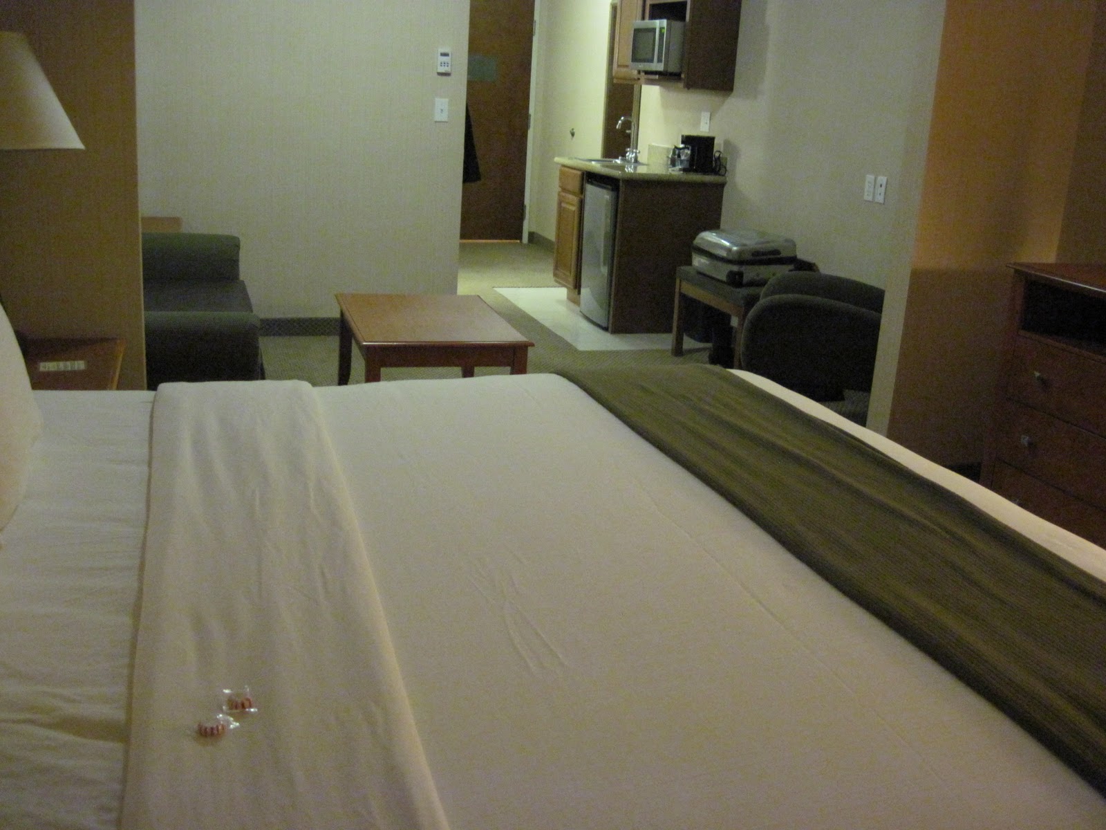 Travel Reviews & Information Howell, Michigan / Holiday Inn Express Hotel & Suites