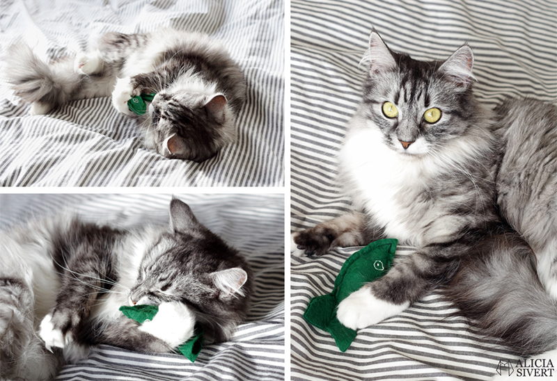 Kattleksaker, sydda av Alicia Sivertsson. sy kattleksak fisk kattmynta katt katter leksak diy skapa skapande aliciasivert monthly makers