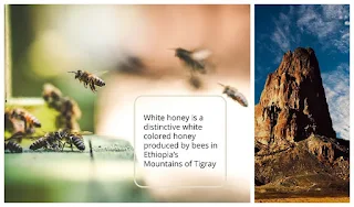 White honey of Ethiopia Mountains of Tigray