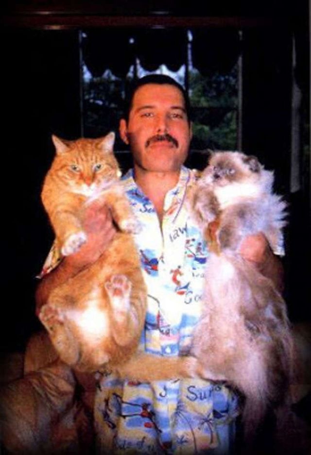 An Extraordinary Friendship 18 Fascinating Photographs of Freddie