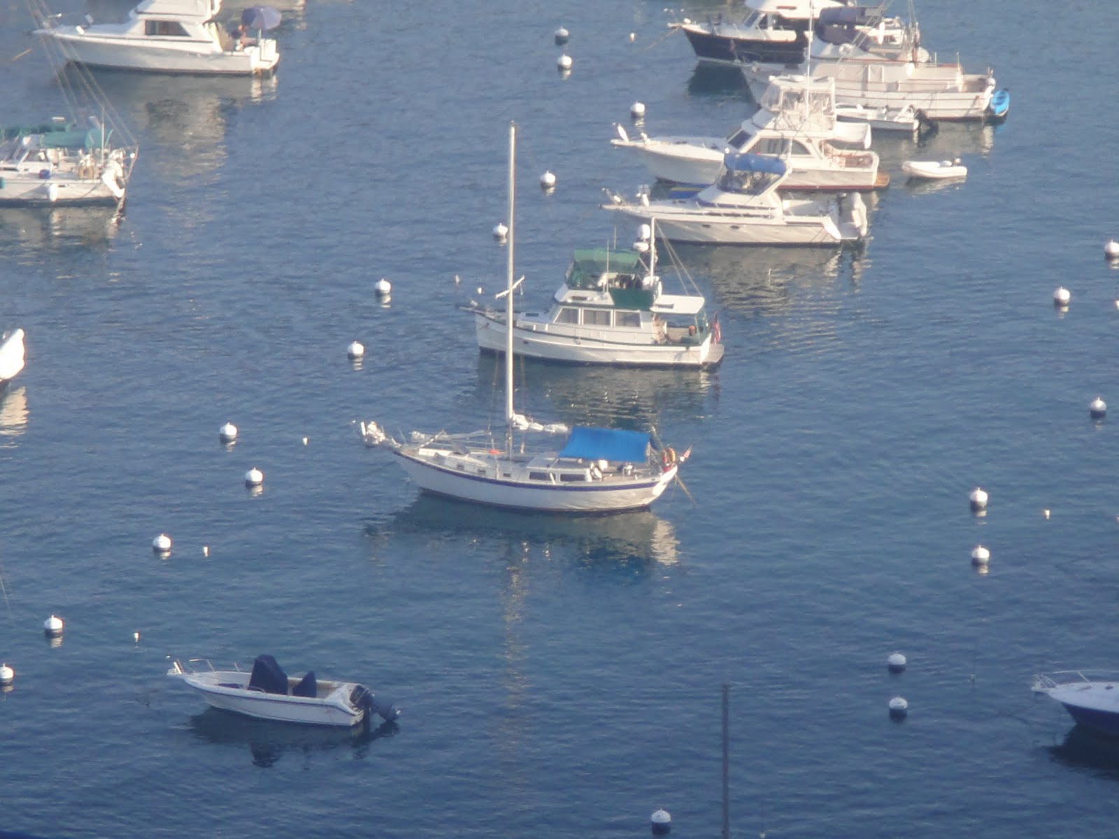 The Official Minney's Yacht Surplus Blog Hanging on a mooring in