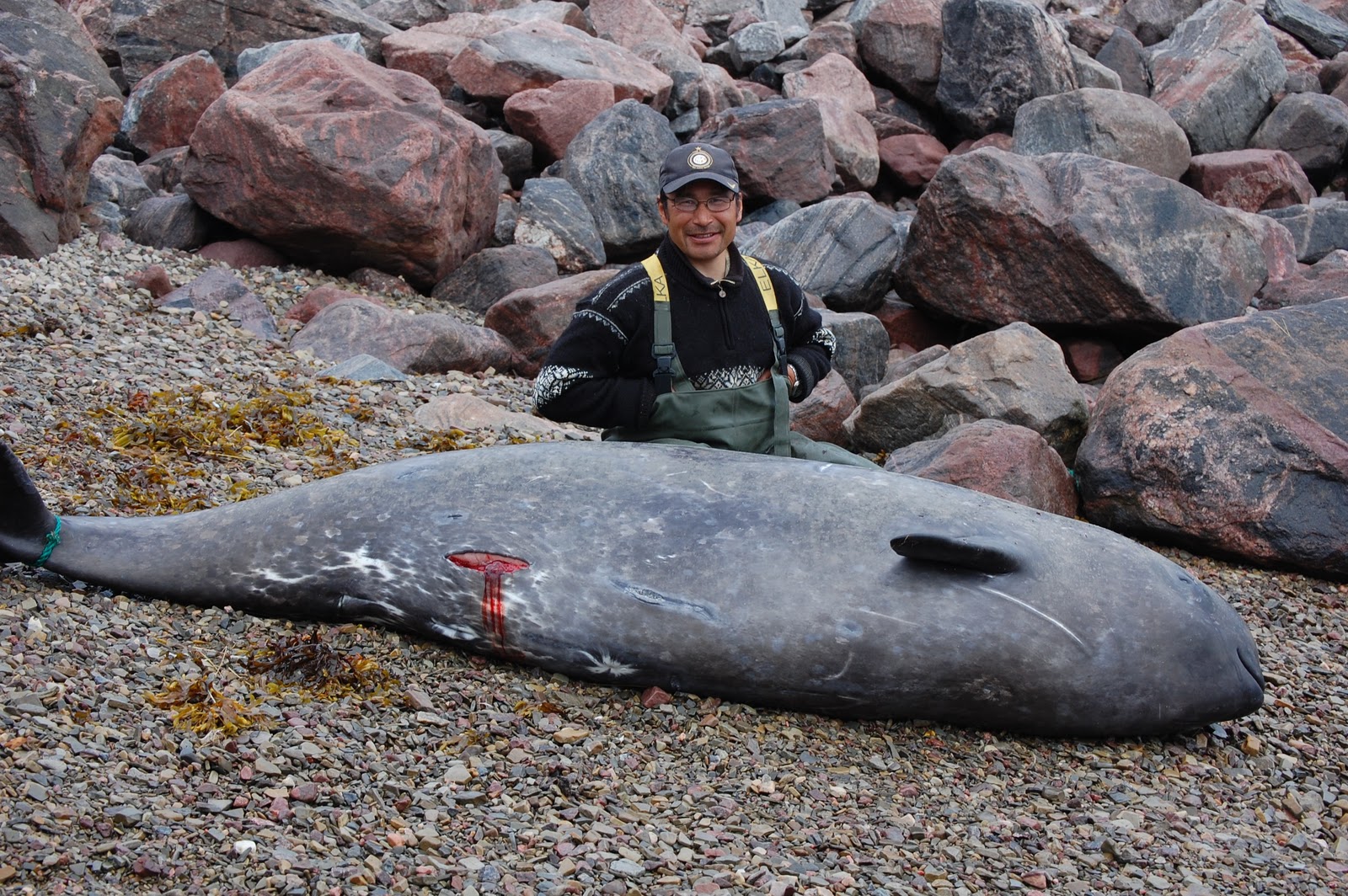 How does the writer show the conflict in her thoughts and feelings about hunting image