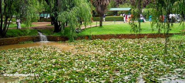 ooty botnical garden , tea factory , tea making , tamilnadu , india 