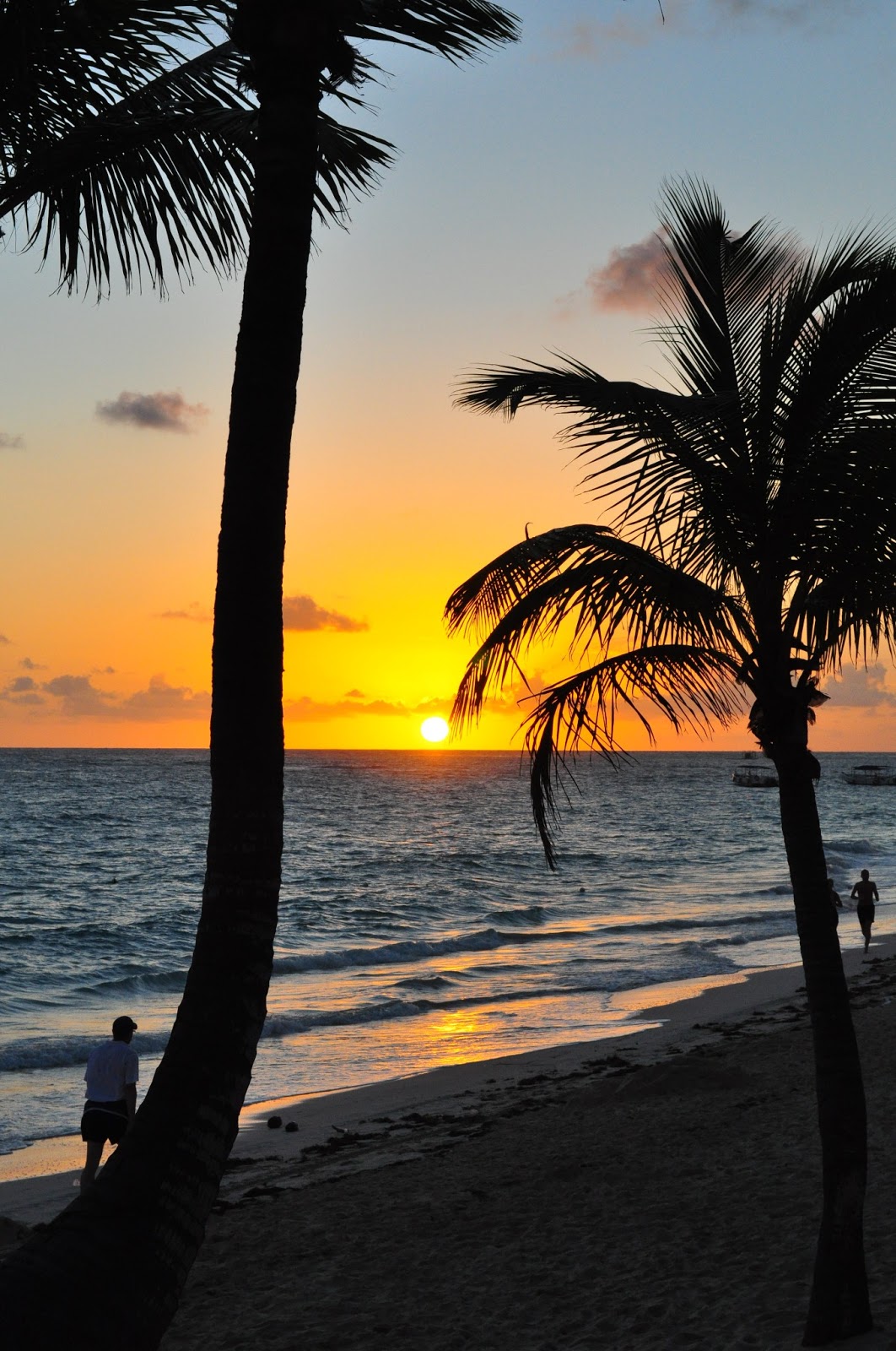 Pinmyboard Beautiful beach sunset in Florida