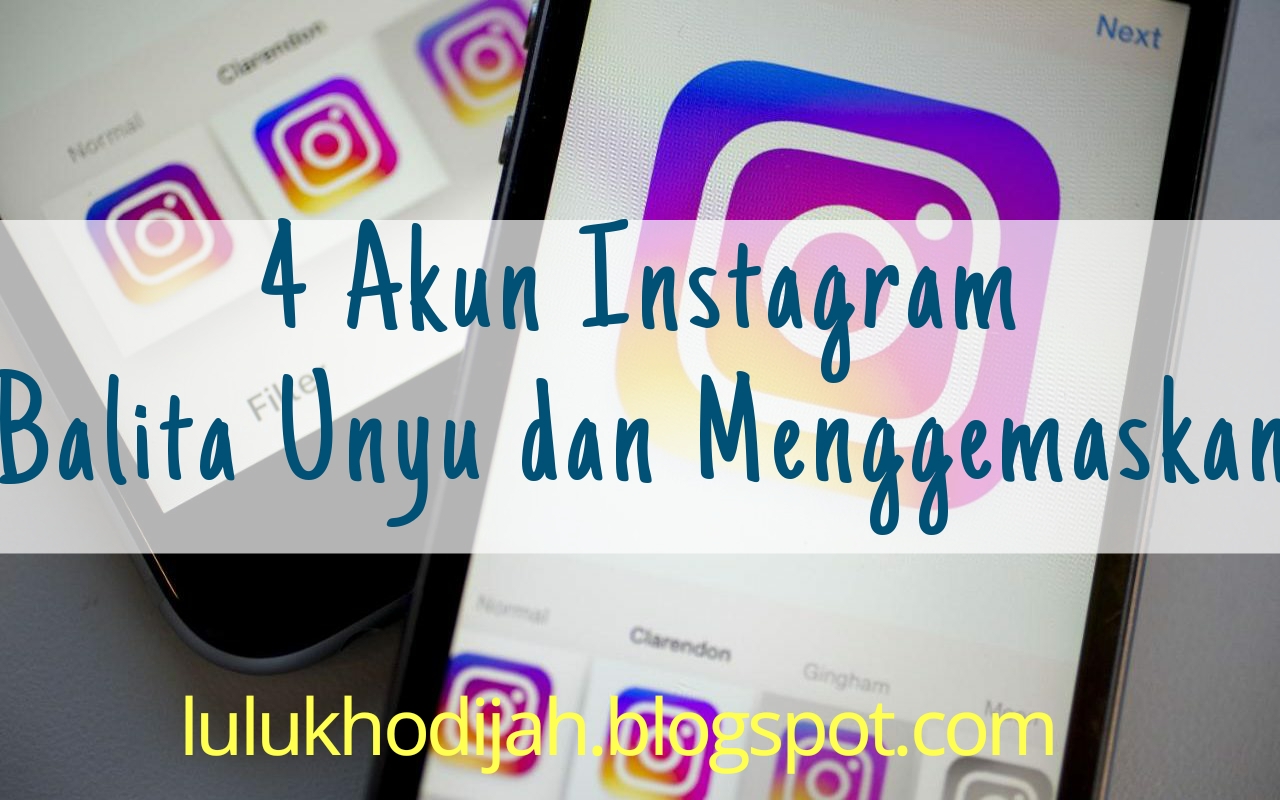 4 Akun Instagram Balita Unyu Dan Menggemaskan A Lifelong Journey