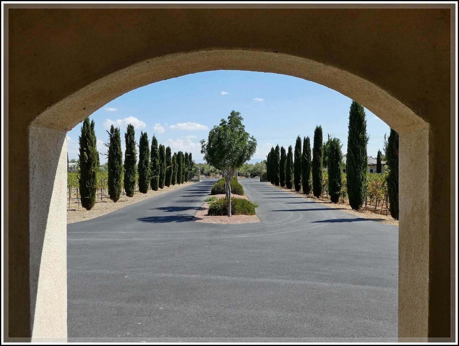 Ken's Photo Gallery Sanders Family Winery