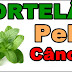 Benefícios do Chá de Hortelã para saúde e para Pele