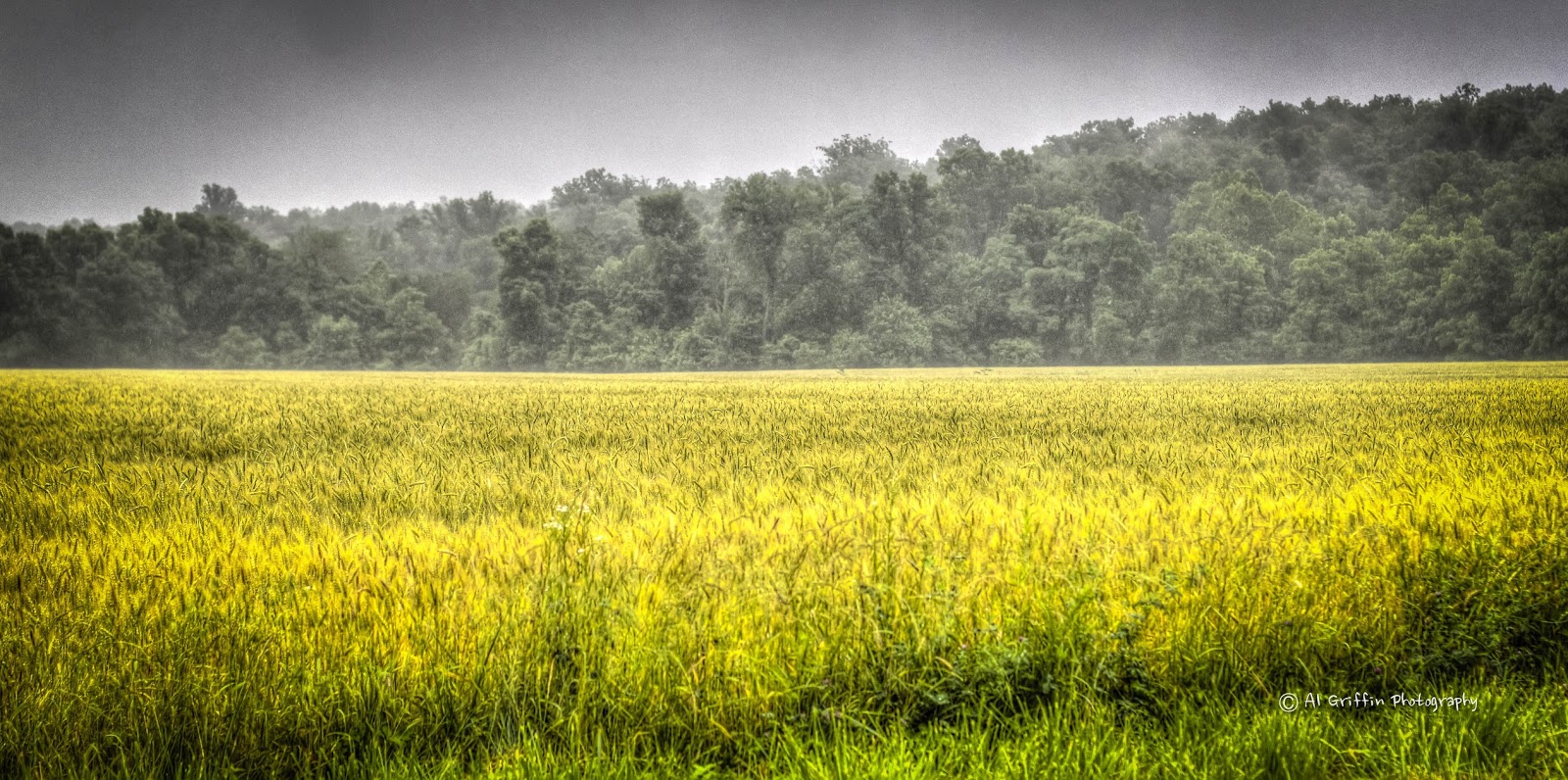 Weaver's Country Store, Versailles, Missouri Our Eyes Upon Missouri