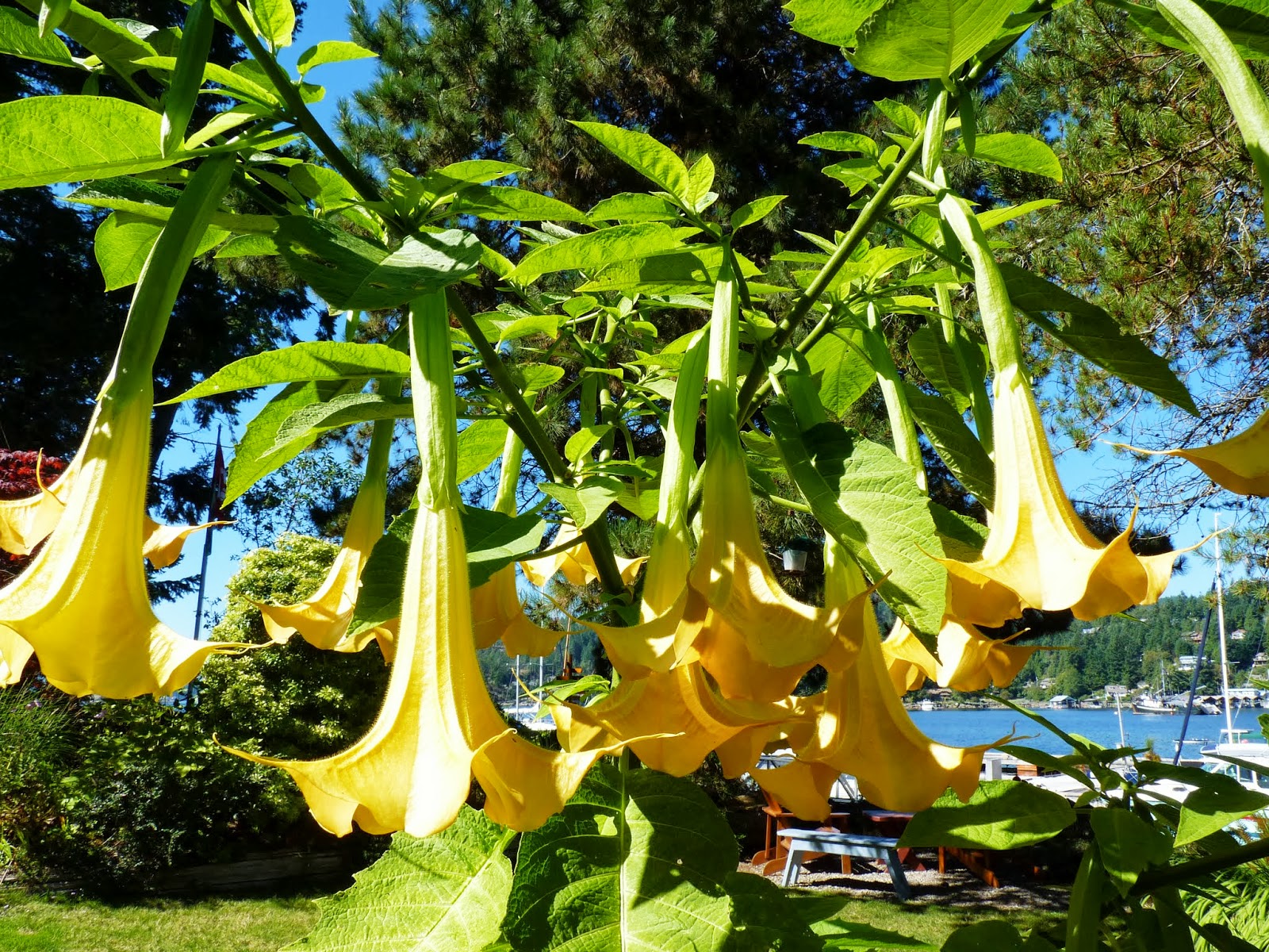 Cruising the Pacific Northwest, San Juan Islands, British Columbia