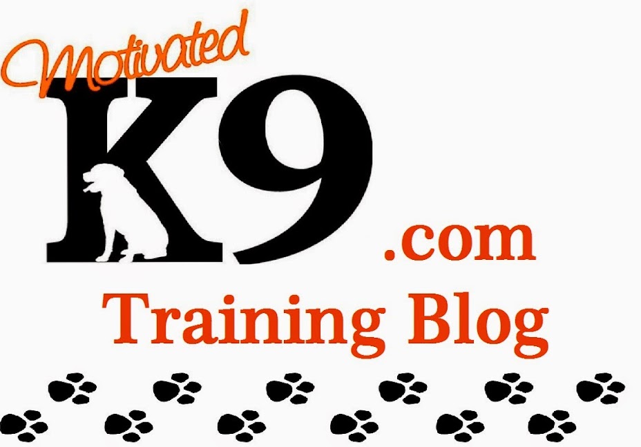 Motivated K9 Dog Training Concord NH