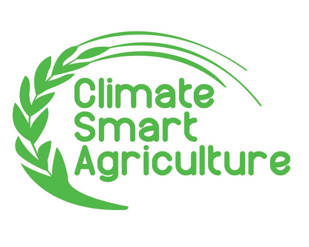 KILIMO SASA climate smart agriculture