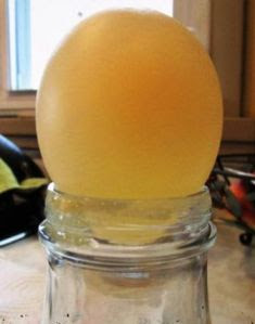 telur elastis tertarik kedalam botol