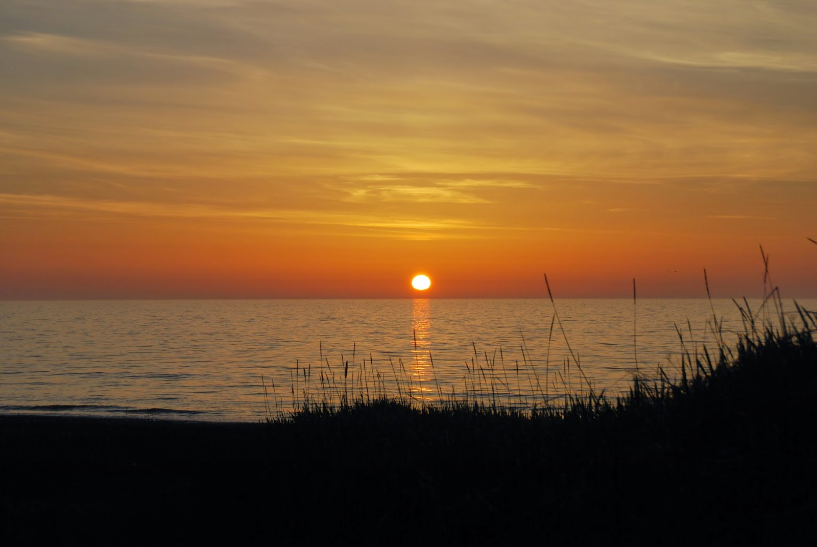 northernXposed Another amazing Nelson Lagoon sunset