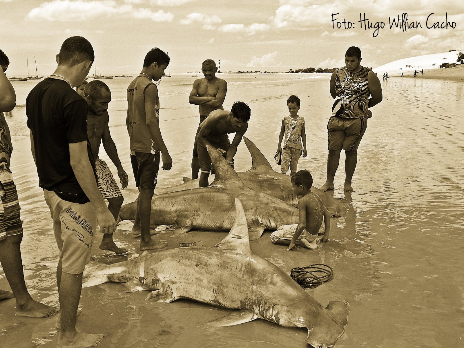 Informática e Fotos: A pesca de Espinhel os pescadores Erivelto ...