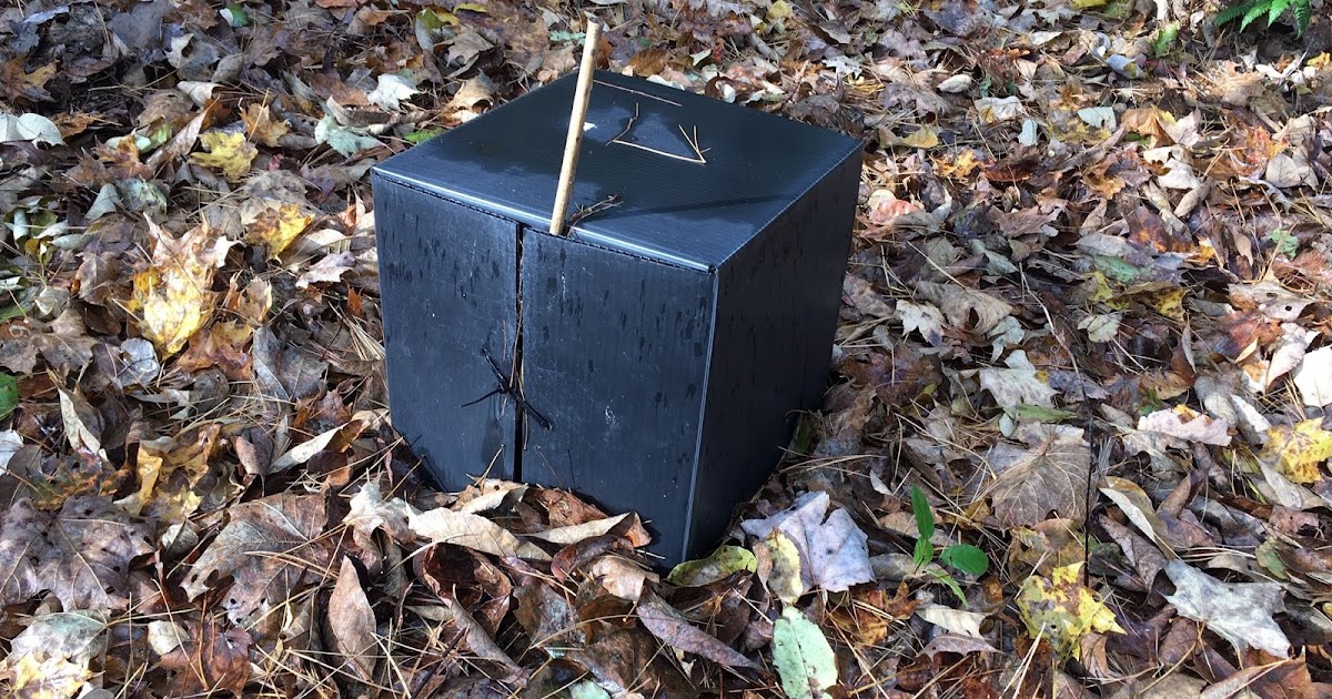 Strange Boxes Discovered at Lake Shaftsbury State Park