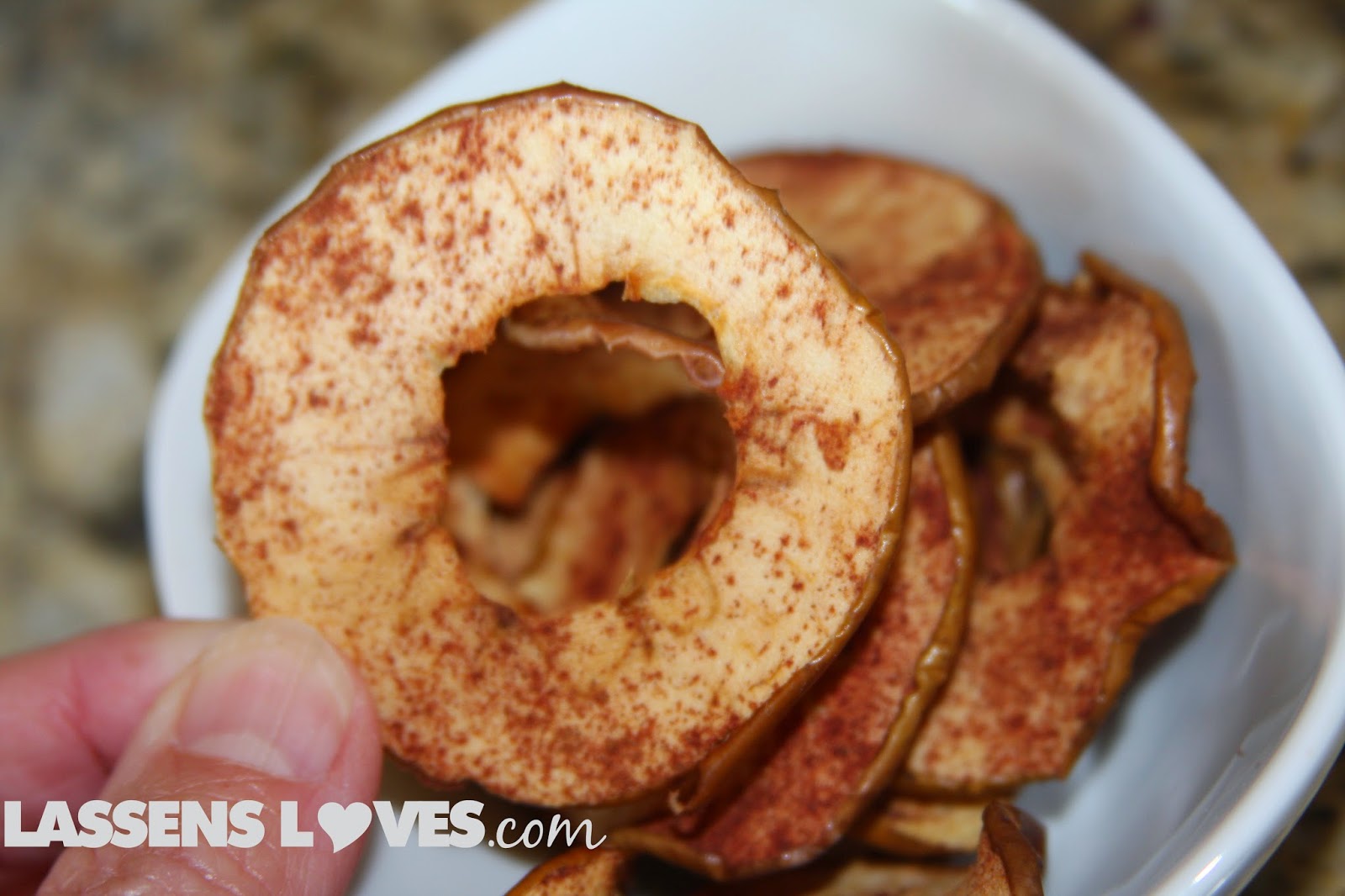 apple+chips, dried+apples, dehydrated+fruit