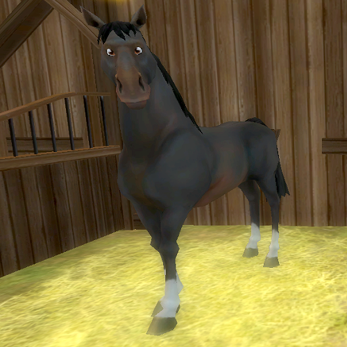 Star Stable Daily : Horse Breeds