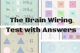 The Brain Wiring Test: Logic and Picture Maths Brain Teasers