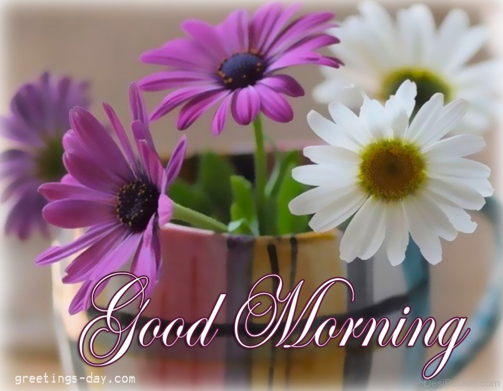 Good Morning Quotes With Flowers For Whatsapp and Facebook.