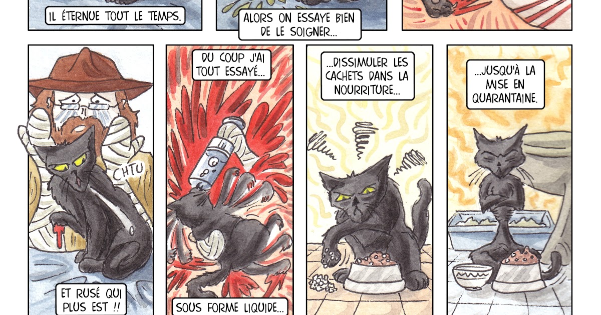 Chat échaudé Craint L'eau Froide En Anglais La Planète à Personne: IRL : chat échaudé craint l'eau froide