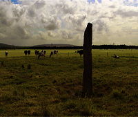 http://www.paintwalk.com/2017/07/normandy-megalith-pierre-butee.html