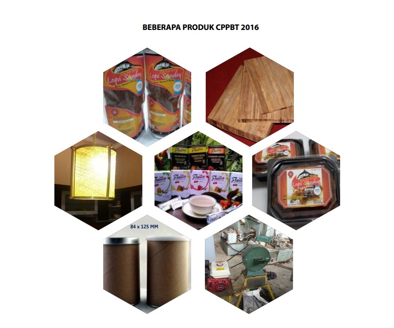 LPPM AISYAH LPPM STIKes Aisyah Pringsewu