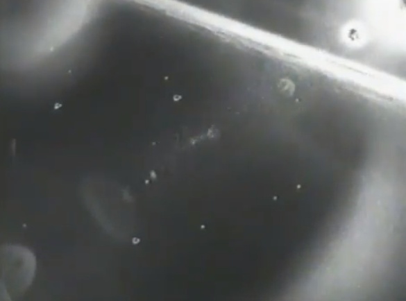 NASA Caught Blatantly Ignoring UFOs Rising In Formation Over Africa đ˝ââ¨ââđ˝