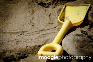 (c) Moogle Photography