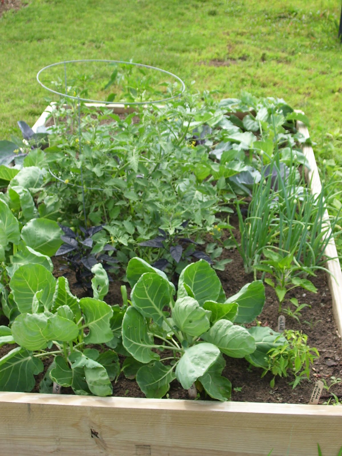 Talking to Plants Hancock Agricultural Research Station
