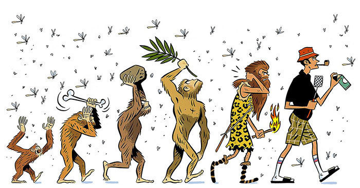 #15. The Evolution of Killing Bugs - 15 Funny Cartoons To Prove Evolution Has A Twisted Sense Of Humor. #15. The Evolution of Killing Bugs - 15 Funny Cartoons To Prove Evolution Has A Twisted Sense Of Humor.