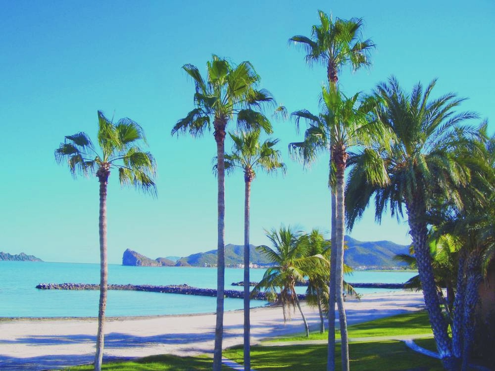 ILCODIGO LOMBARDIA visita loreto bcs turismo en loreto bcs