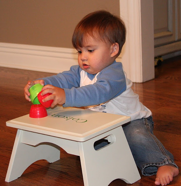 Katie's Keepers Step Stools 2 & 3