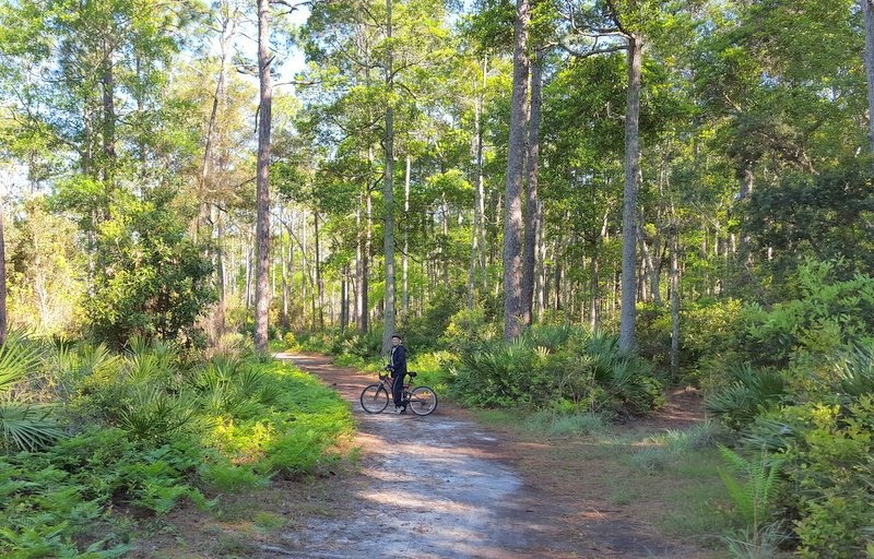 Wandering His Wonders Crooked River State Park