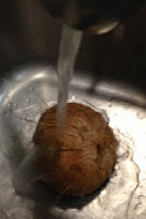 In the kitchen wash the coconut before opening