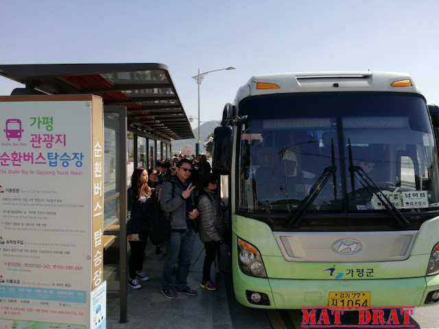 Percutian Bajet Seoul Nami Island Gapyeong Station Shuttle Bas