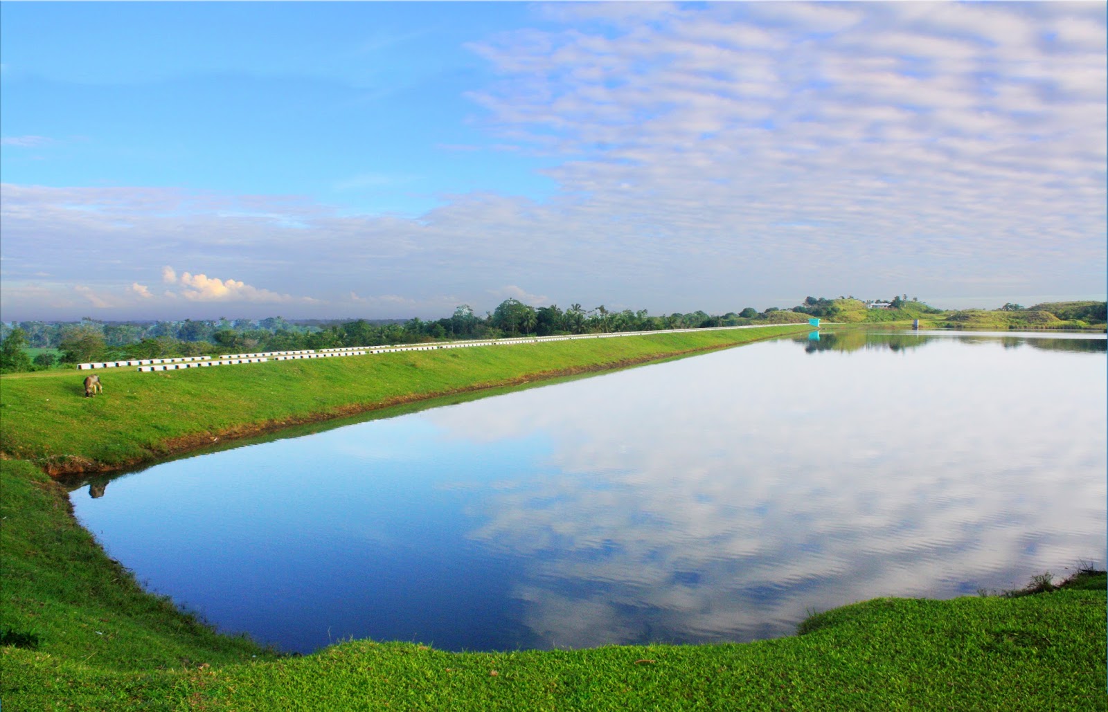 A NEW BEAUTIFUL HOT SPOT IN UBAY, BOHOL!
