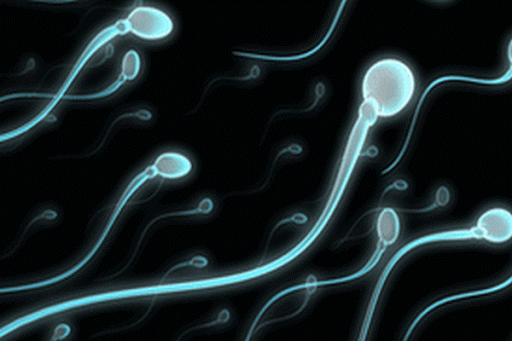 как ультразвук влияет на репродуктивную функцию мужчин