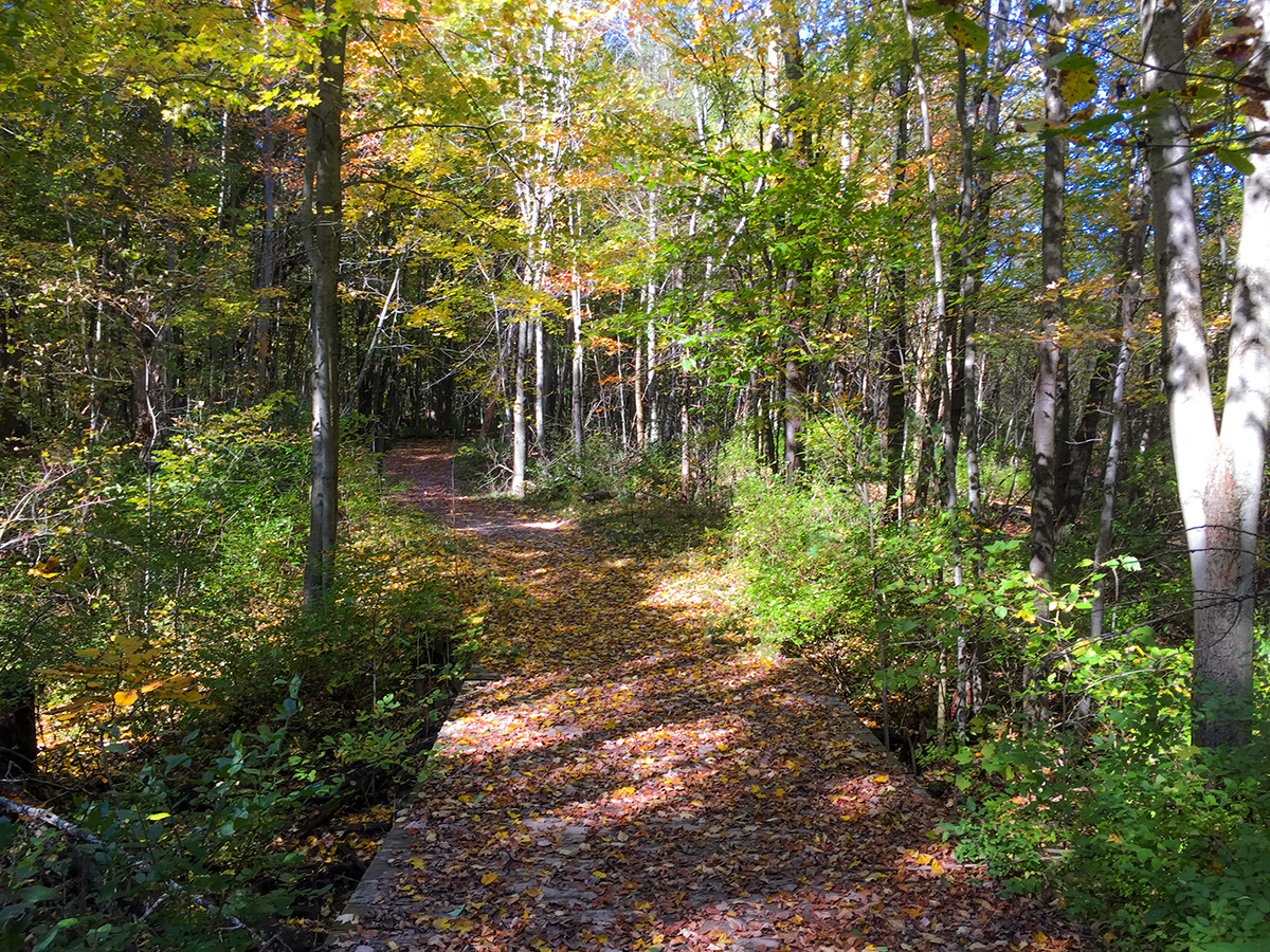 The Uplands Trail at Devils Lake State Park