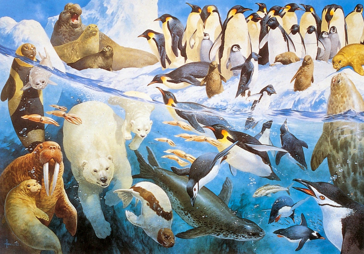 polar_regions